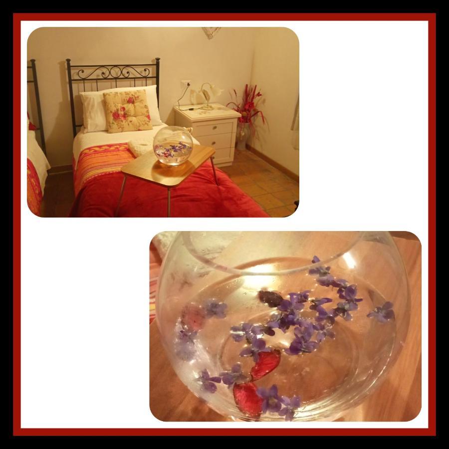 Felix House Bed and Breakfast Codevilla Εξωτερικό φωτογραφία